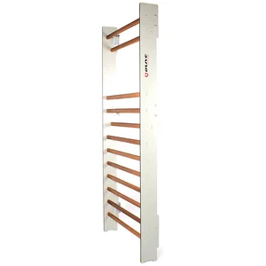 Olive Espalier Compact pas cher