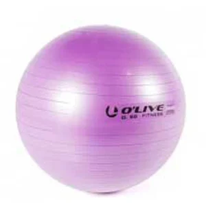 Comparateur de prix : Fitness Ball O'LIVE ø 65 cm lilas