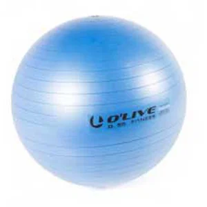 Comparateur de prix : Olive Fitness Fitball Bleu 75 cm