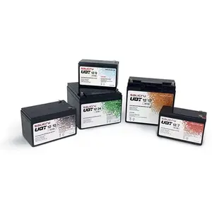 Comparateur de prix : Batterie pour SAI Salicru UBT 013BS-02 12/9 9 Ah 12V