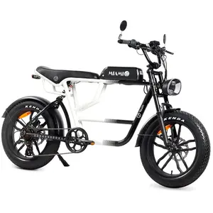 Comparateur de prix : Youin Vélo électrique Pliant Miami One Size