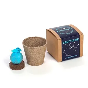 Coffret cadeau Biom Les cultures zodiacales à faire pousser SagittaireVendu parcdiscount