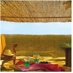Comparateur de prix : INTERMAS - Brise vue en roseau 75% occultant 2 x 5 m REEDCANE