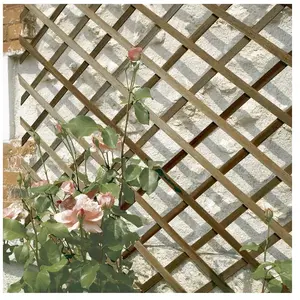 Celloplast Treillis en bois FSC extensible TRELLIWOOD - 1 x 3 m - Marron pas cher