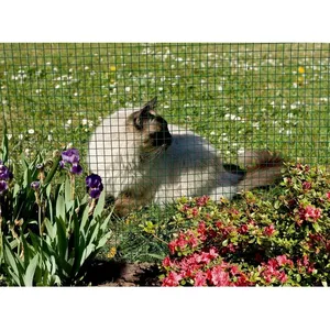 Comparateur de prix : NORTENE Grillage en fil de fer vert - 0,50 x 10 m
