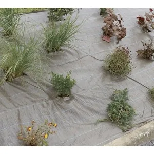 NORTENE Toile de paillage Weedsol marron 90g-m2 pas cher