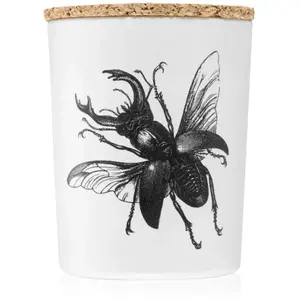 Vila Hermanos Insect Lucanus Cervus bougie parfumée 75 g