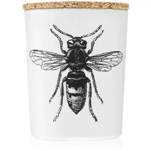 Vila Hermanos Insect Calabrone bougie parfumée 75 g pas cher