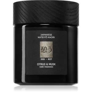 Vila Hermanos Apothecary Japanese Rest bougie parfumée 150 g