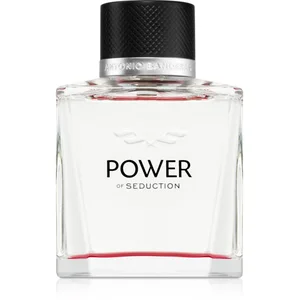 Banderas Power of Seduction Eau de Toilette pour homme 100 ml pas cher