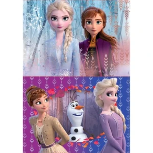 Puzzle - EDUCA - La Reine des Neiges 2 - 2x20 pièces - Pour enfants dès 3 ans