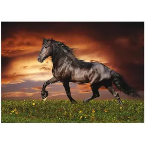 Educa Cheval Au Trot - Puzzle De 1000 Pièces Blanc pas cher