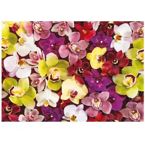 Educa puzzle adulte Collage Orchidées - 1000 pièces pas cher