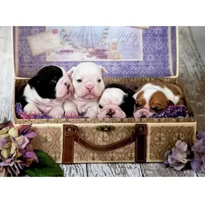 Puzzle 500 pièces - EDUCA - Chiots - Animaux - Enfant - 10 ans pas cher