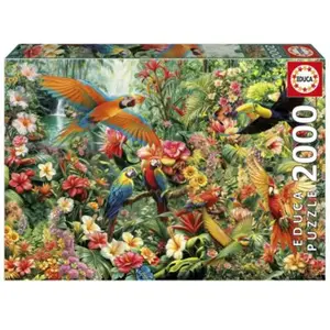 Educa Puzzle 2000 pièces : Oiseaux d'Amazonie pas cher