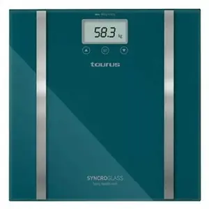 Taurus Échelle Syncro Glass 990548000 pas cher