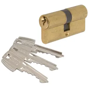 Cylindre 2 entrées varié laitonné - 50 x 30 mm - TE5 - Tesa pas cher