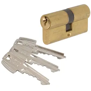 Tesa - Cylindre 2 entrées varié laitonné - 40 x 30 mm - TE5 pas cher