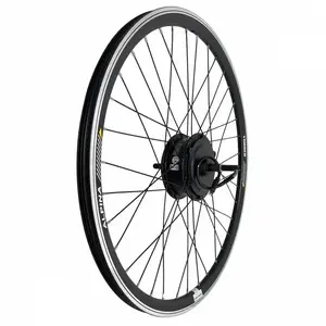 Roue arrière Mach1 E-Bike TR-CDHM2 pas cher