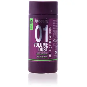 Volume Dust 01 Mattifying Powder - Salerm Soins capillaires 10 g pas cher