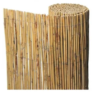 Suinga Canisse naturelle entière pour jardin 1 x 5 m, utile pour l'occultation, la délimitation ou l'ombrage pas cher