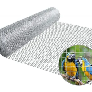 SUINGA Grillage à Poule 13mm 1x5 m. Galvanisé Maille carré Cloture pou... pas cher