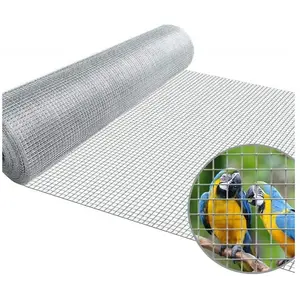Suinga - GRILLAGE MÉTALLIQUE 1 x 5 m, carrés de 6 mm. Clôture galvanisée en fil de fer.