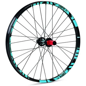 Gtr Roue Arrière De Vtt Sl35 E-bike Boost 29´´ 6b Disc Tubeless pas cher