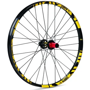 Gtr Roue Arrière De Vtt Sl35 E-bike Boost 29´´ 6b Disc Tubeless pas cher
