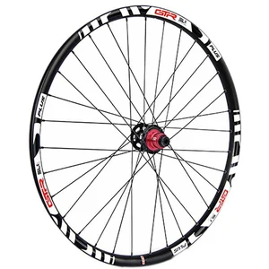 Gtr Roue Arrière De Vtt Sl35 E-bike Plus 29´´ Disc Tubeless 12 x 148 mm pas cher