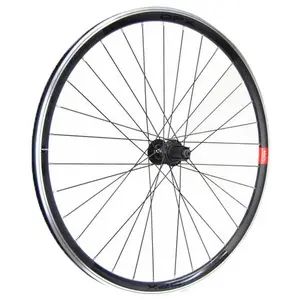 Roue de vélo arrière Gurpil NEW DPX Campagnolo 8-12V - noir - 28"