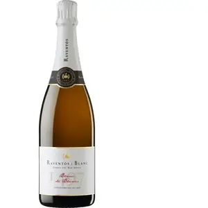 Raventos I Blanc Blanc de Blancs 2022 0.75 l pas cher