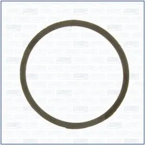 Comparateur de prix : AJUSA Gasket, thermostat