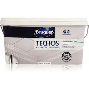 Br wp peinture plafonds 2.5l 5159753 bruguer. pas cher