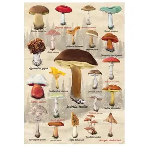 Dino Puzzle 1000 pièces : Collage champignons pas cher