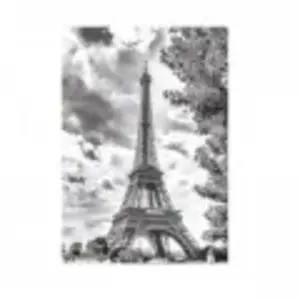 Dino Puzzle 500 pièces : Tour Eiffel en Noir et Blanc pas cher