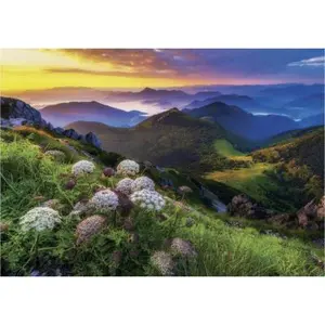 Dino Puzzle 500 pièces : Malá Fatra pas cher