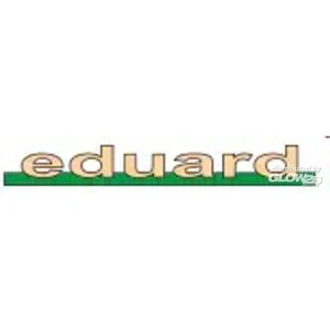 Décal Pochoirs Bf 110 pour Eduard  1/48 EduaD48066  - Décalcomanies pour avions militaires Vendu paramazon