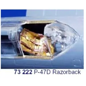 Accessoire Eduard Republic P-47D Thunderbolt 'Razorback' - pièces pré-peintes en couleur (pour Tamiya TA60749 maquettes) 1/72EDUA73222 - Kit de superVendu paramazon