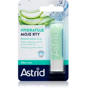 Astrid Lip Care baume à lèvres hydratant à l'aloe vera 4.8 g pas cher