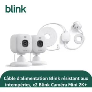 Caméra de surveillance BLINK Indoor Outdoor Camera pas cher