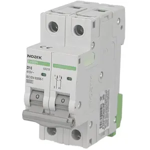 Disjoncteur bipolaire modulaire 40A courbe D Noark Ex9BN 100222Vendu parbis-electric