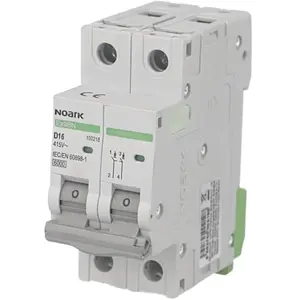 Disjoncteur bipolaire modulaire 6A courbe D Noark Ex9BN 100214Vendu parbis-electric
