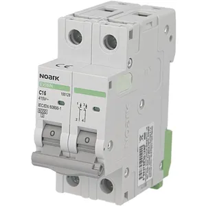Disjoncteur bipolaire modulaire 63A courbe C Noark Ex9BN 100134Vendu parbis-electric
