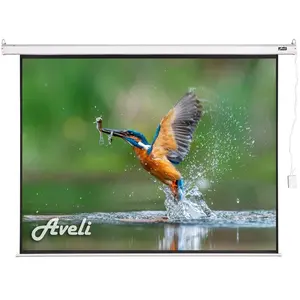 Aveli Elektrické projek ní plátno, 488x366 (4:3) 240" (240", 4:3), Écr...