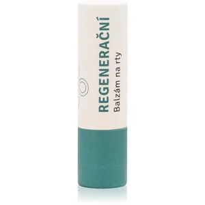 Lobey Skin Care Lip Balm baume à lèvres régénérant 5 g pas cher