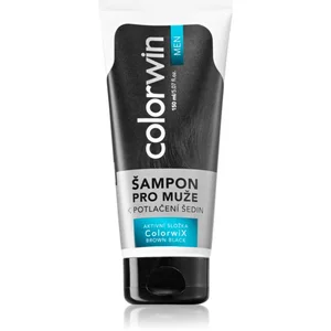 Comparateur de prix : Colorwin Men shampoing pour cheveux gris 150 ml