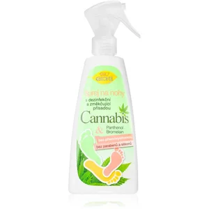 Bione Cosmetics Cannabis spray pieds 260 ml
