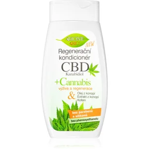Bione Cosmetics Cannabis CBD après-shampoing régénérant pour cheveux 2...Vendu parnotino
