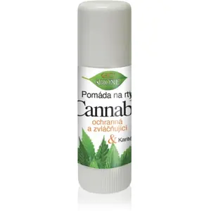 Bione Cosmetics Cannabis Baume à lèvres 11 ml pas cher